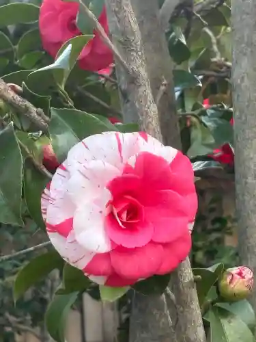 城南宮の{uncategorized: "未分類", other: "その他", undefined: "問題あり", building: "その他建物", grave: "お墓", sacred_gate: "鳥居", guardian: "狛犬", statue: "像", buddha: "仏像", history: "歴史", nature: "自然", garden: "庭園", animal: "動物", pagoda: "塔", temizu: "手水舎", mountain_gate: "山門・神門", sanctuary: "本殿・本堂", subordinate: "末社・摂社", art: "芸術", scenery: "景色", jizo: "地蔵", ema: "絵馬", goshuin: "御朱印", omikuji: "おみくじ", items: "授与品その他", amulet: "お守り", goshuincho: "御朱印帳", eats: "食事", festival: "お祭り", votive_dance: "神楽", shichigosan: "七五三参", wedding: "結婚式", experience: "体験その他", initially: "初詣", around: "周辺", anti_infection: "感染症対策"}