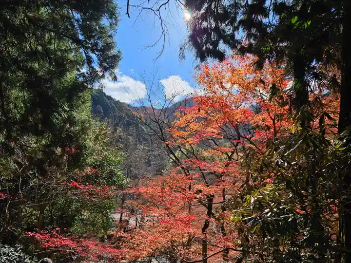 室生寺(奈良県)