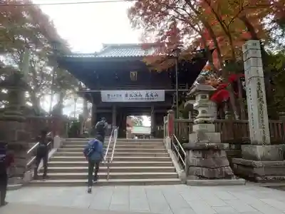 高尾山薬王院の山門・神門