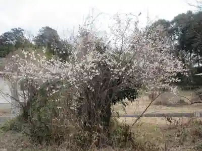 盛岸院(茨城県)