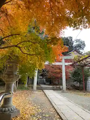 香椎宮(福岡県)