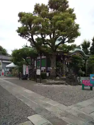 高木神社のその他建物
