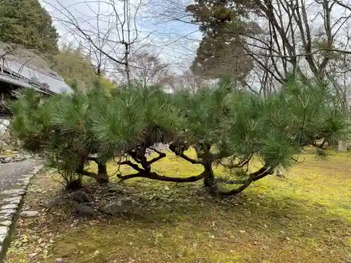 十輪寺(京都府)