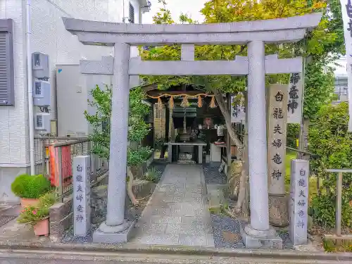 白龍夫婦龍神社（清水）の鳥居