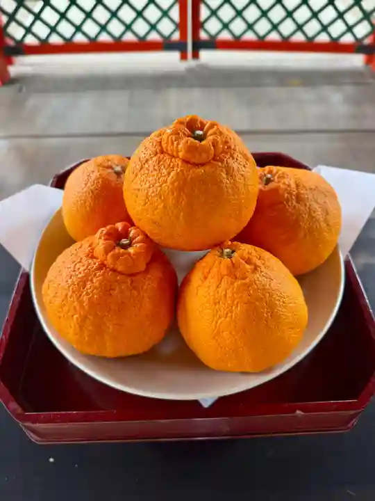 御霊神社(奈良県)