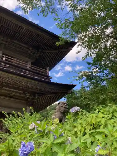 青龍山 吉祥寺の狛犬