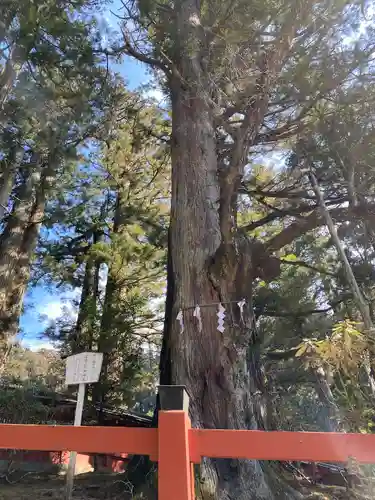 日光二荒山神社(栃木県)