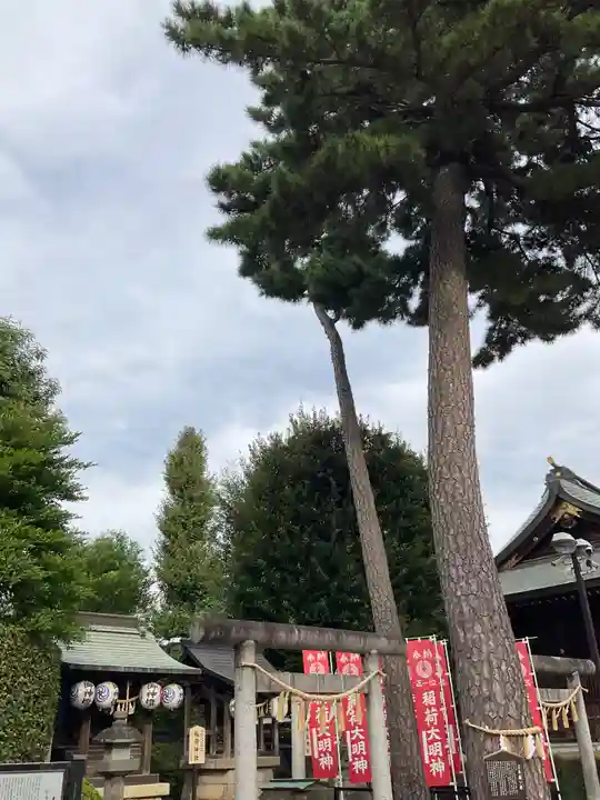 中野沼袋氷川神社(東京都)