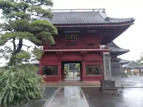 徳願寺の山門