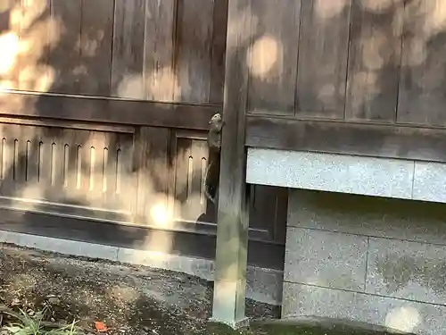 鶴岡八幡宮の動物