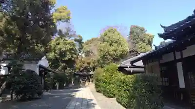 木嶋坐天照御魂神社(京都府)