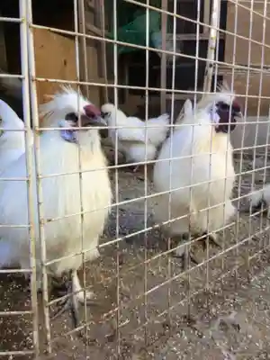 榮久山大法寺(東京都)