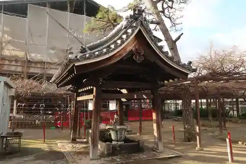 葛井寺(大阪府)