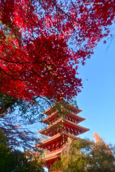 高幡不動尊 金剛寺(東京都)