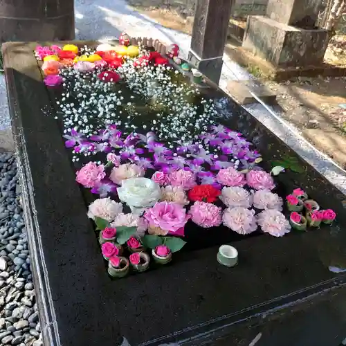 前玉神社の手水舎