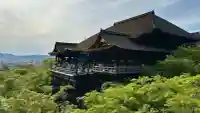 清水寺の{uncategorized: "未分類", other: "その他", undefined: "問題あり", building: "その他建物", grave: "お墓", sacred_gate: "鳥居", guardian: "狛犬", statue: "像", buddha: "仏像", history: "歴史", nature: "自然", garden: "庭園", animal: "動物", pagoda: "塔", temizu: "手水舎", mountain_gate: "山門・神門", sanctuary: "本殿・本堂", subordinate: "末社・摂社", art: "芸術", scenery: "景色", jizo: "地蔵", ema: "絵馬", goshuin: "御朱印", omikuji: "おみくじ", items: "授与品その他", amulet: "お守り", goshuincho: "御朱印帳", eats: "食事", festival: "お祭り", votive_dance: "神楽", shichigosan: "七五三参", wedding: "結婚式", experience: "体験その他", initially: "初詣", around: "周辺", anti_infection: "感染症対策"}