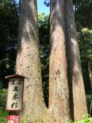 笠森寺(千葉県)