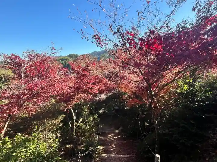 常樂寺(滋賀県)