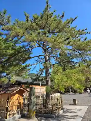 氣比神宮(福井県)