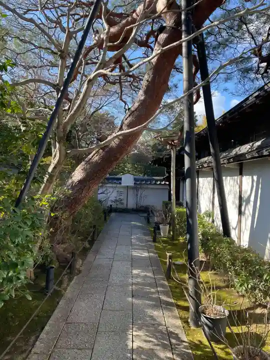 退蔵院(京都府)