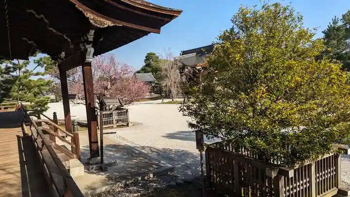 大覚寺(京都府)