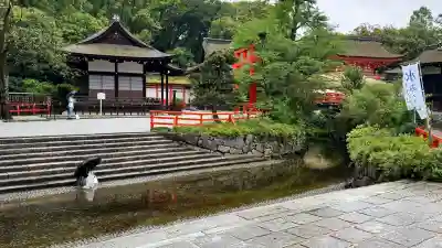 賀茂御祖神社(下鴨神社)(京都府)