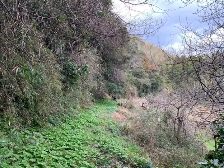 岩富寺の自然