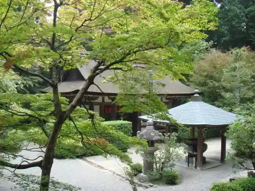 金剛輪寺の本殿・本堂