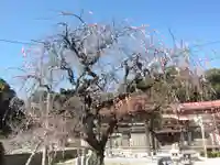 覚天寺(山口県)