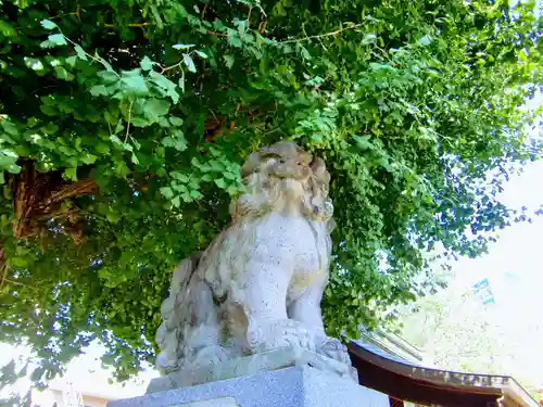 前橋八幡宮の狛犬