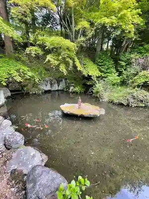 景徳院(山梨県)