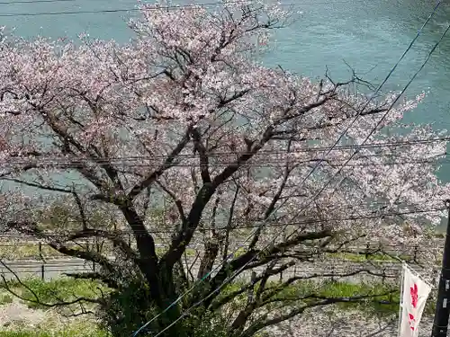 多摩川浅間神社の自然