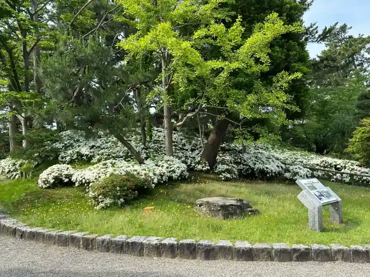 白山神社(新潟県)