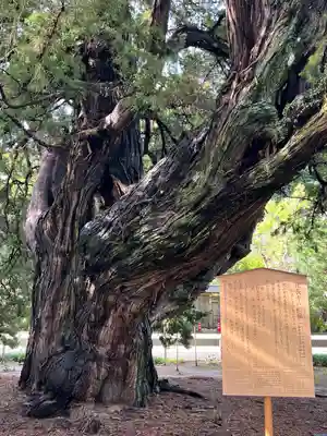 建長寺(神奈川県)