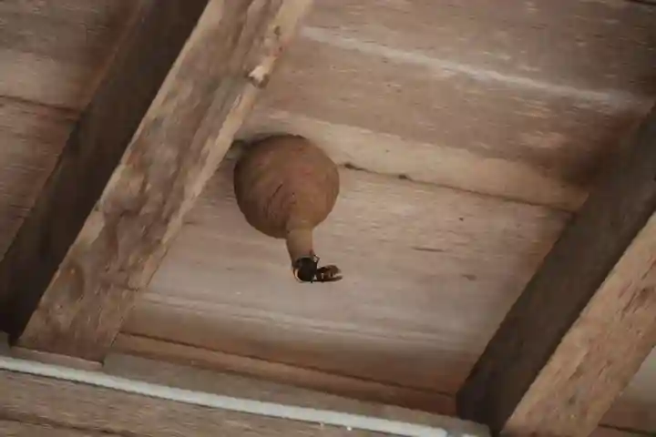 滑川神社 - 仕事と子どもの守り神の自然