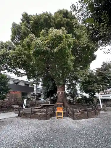日々神社(神奈川県)