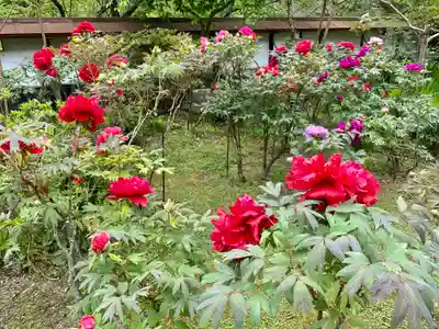 長谷寺(新潟県)