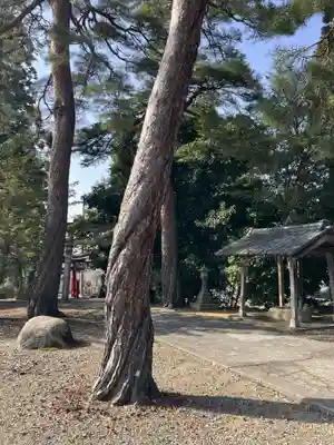 熊野神社(新潟県)