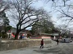 富士山本宮浅間大社(静岡県)