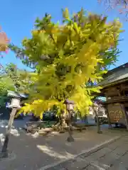 今宮神社(栃木県)