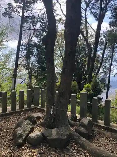 枚岡神社の自然