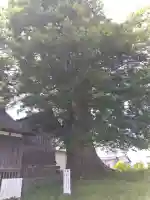 日吉神社(富山県)