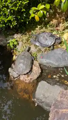宝蔵寺(京都府)