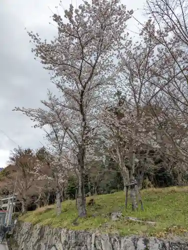 大原野神社(京都府)
