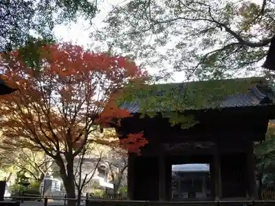 妙本寺の山門・神門