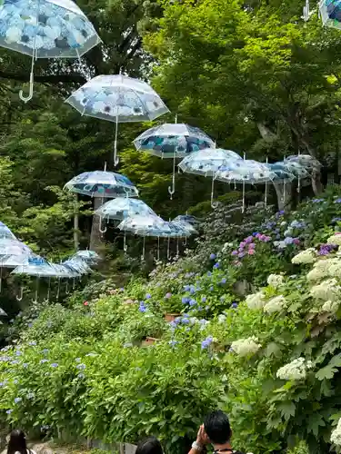 柳谷観音　楊谷寺(京都府)