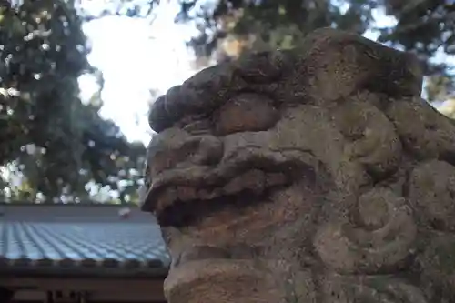 菅谷神社の狛犬