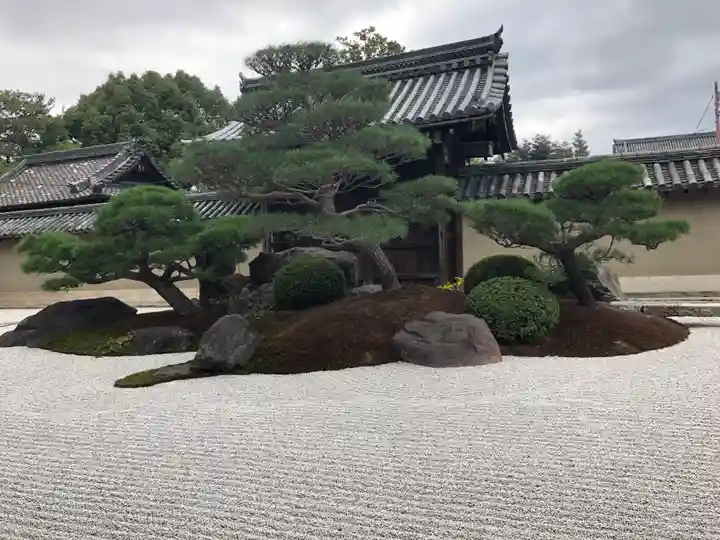 観智院(東寺子院)の庭園