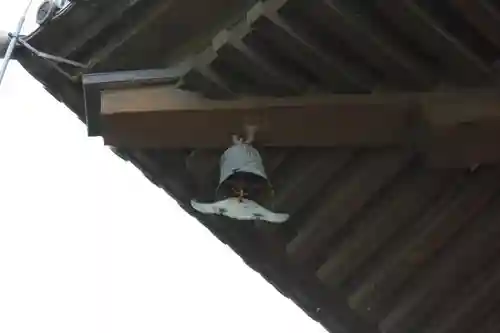 東寺（教王護国寺）のその他建物