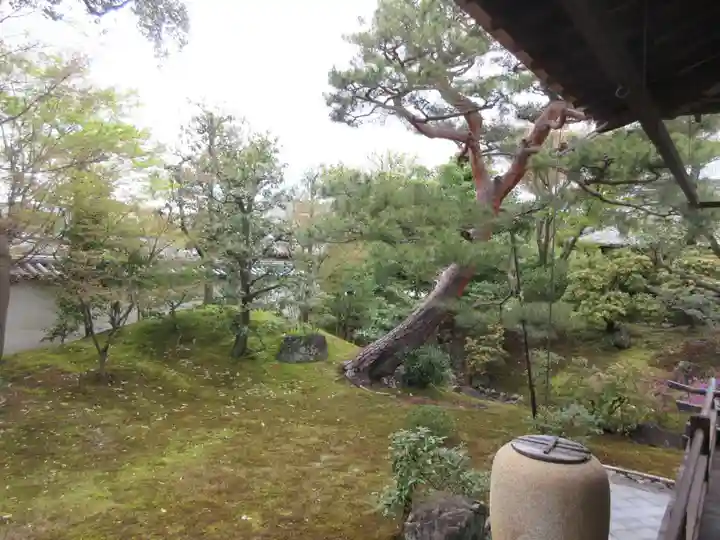 相国寺(相国承天禅寺)(京都府)